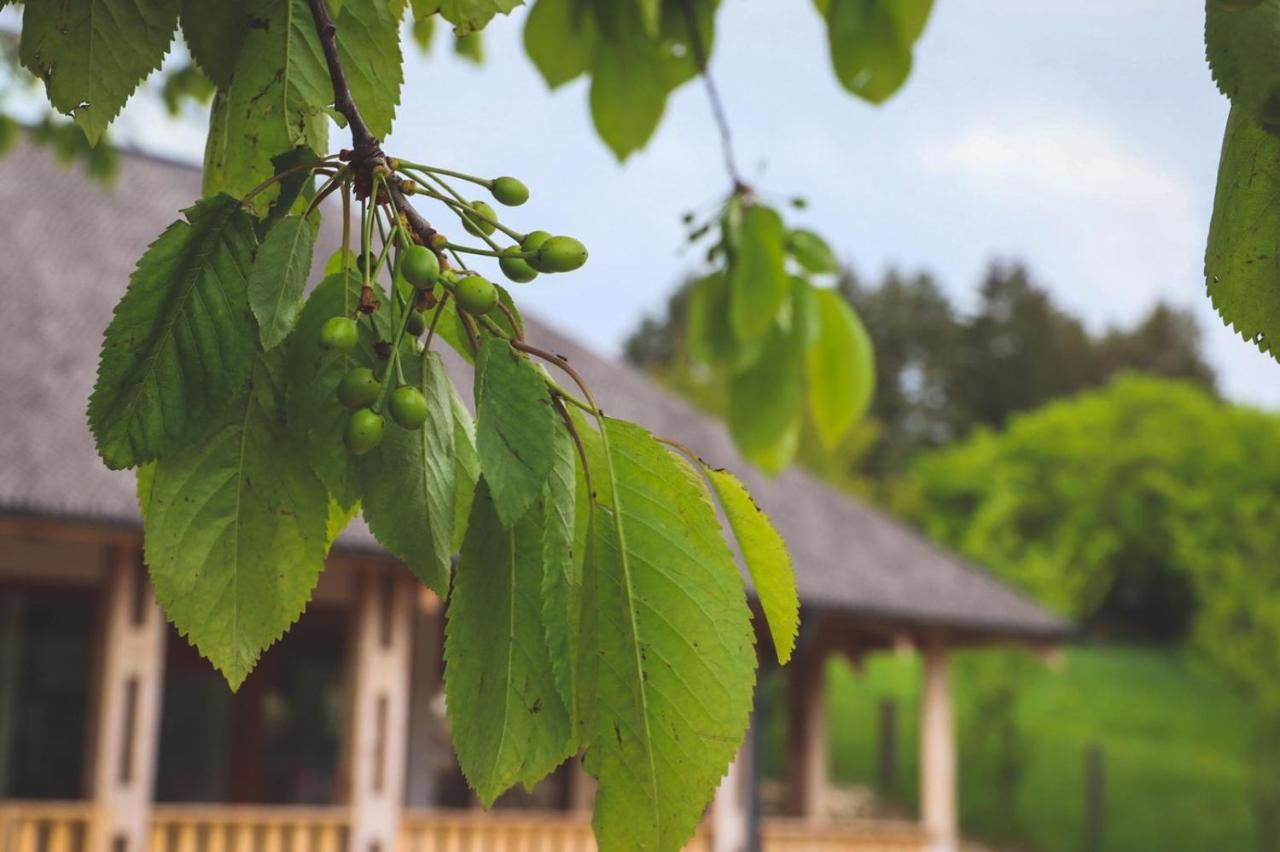 Casa Thymus Villa โซเวจา ภายนอก รูปภาพ