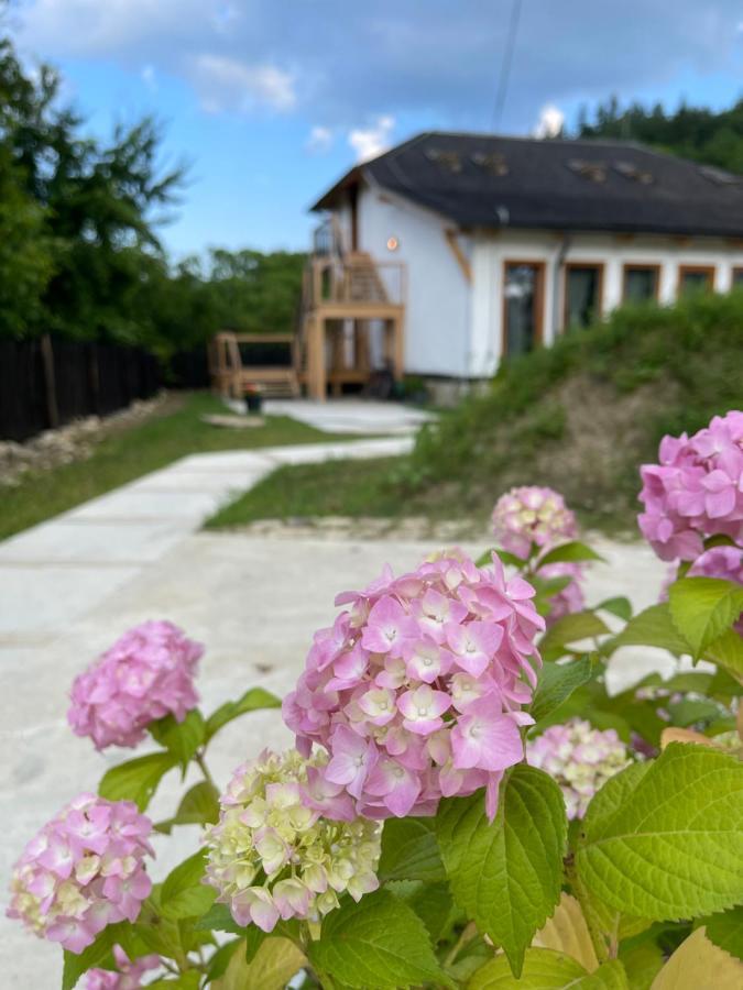 Casa Thymus Villa โซเวจา ภายนอก รูปภาพ
