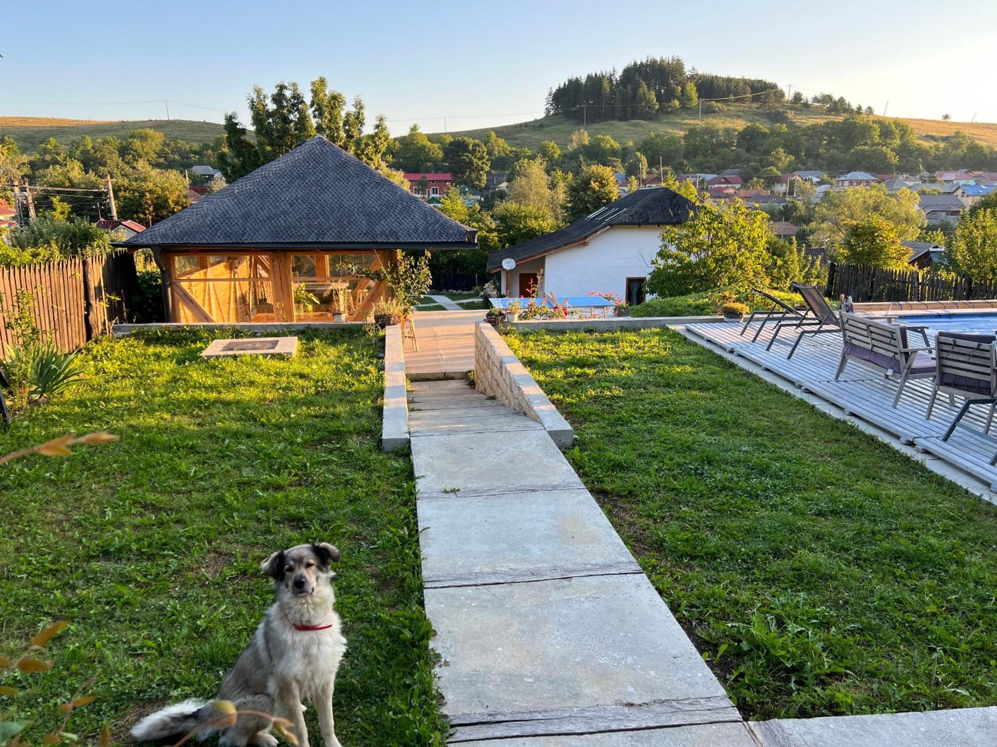 Casa Thymus Villa โซเวจา ภายนอก รูปภาพ
